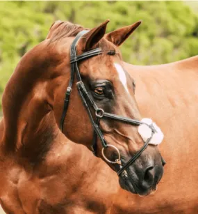 Lumiere Ava Grackle Bridle