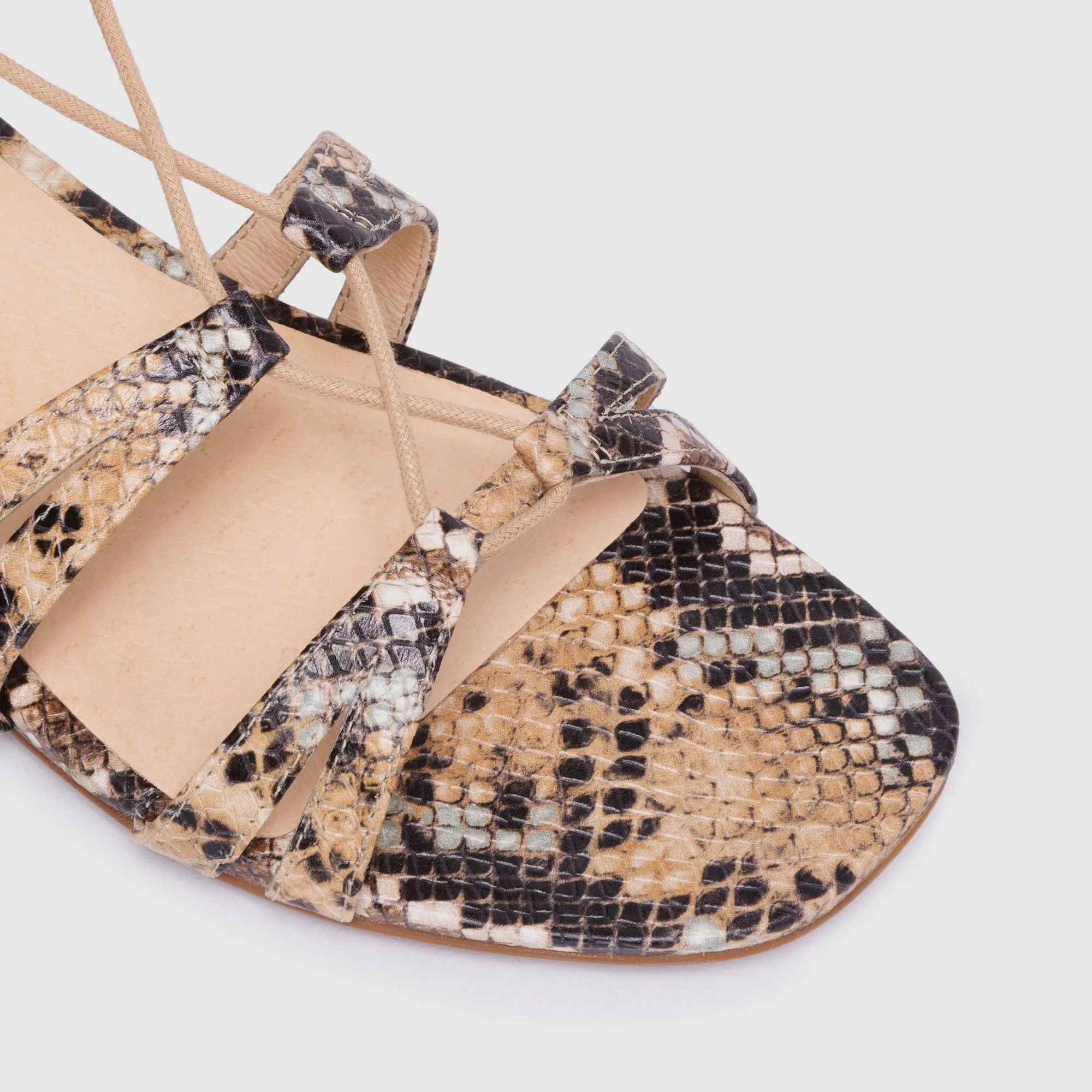 Maya Dusty Blossom Python Print