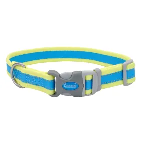 Pro Reflective Adjustable Dog Collar, Blue and Yellow, XS